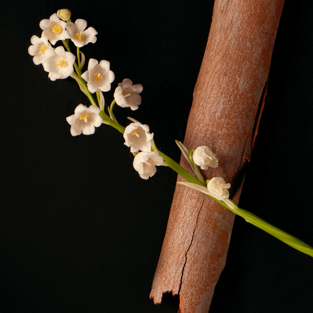 Lily of the Valley detail.